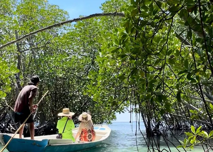 ゲストハウス Mangrove Hut