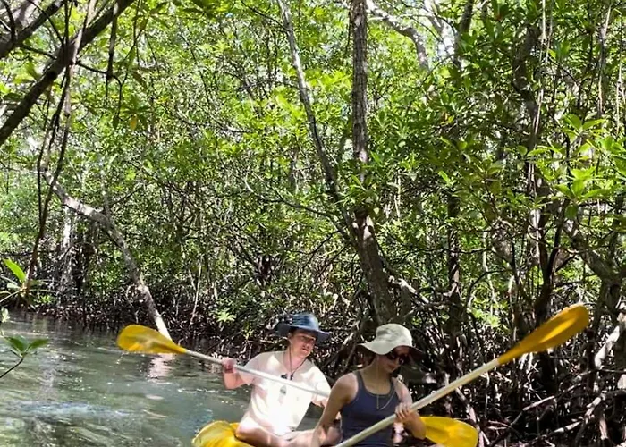 Mangrove Hut ゲストハウス