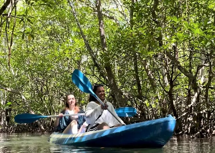 Mangrove Hut ゲストハウス 3*